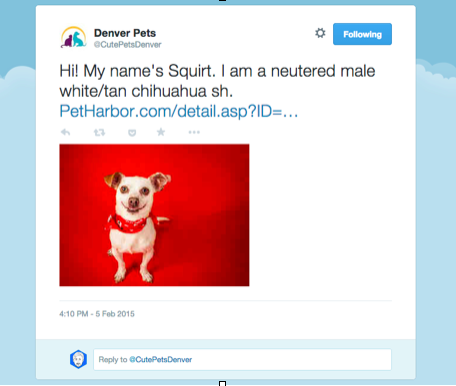 CutePets twitterbot